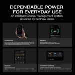 EF ECOFLOW DELTA 3 Portable Power Station | Smart Power - Image 4